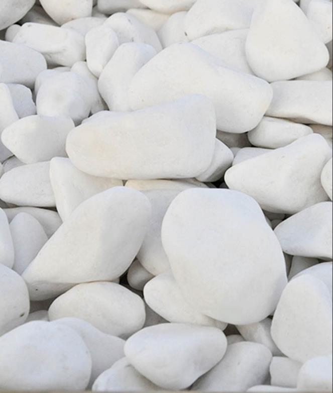 044a01af-b365-4482-b6a6-b50fb669266b_500