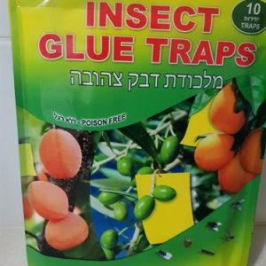 הלוחית הצהובה M