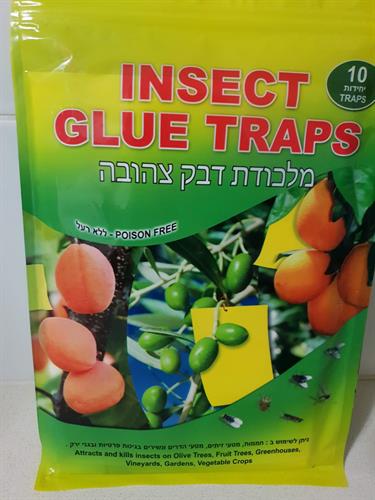 10dc757e-d1c5-4fa6-a8ac-8ae4608dd366_500