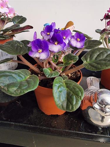 289f04d8-f27b-4fa8-833d-4a474a7f5bda_500