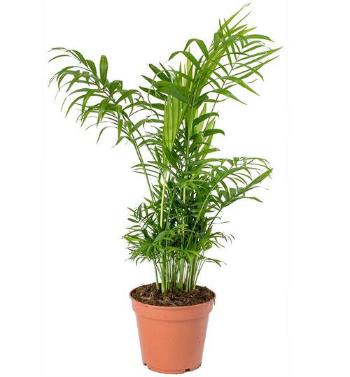 2e144256-bc28-44d6-8d81-8e850855c316_500