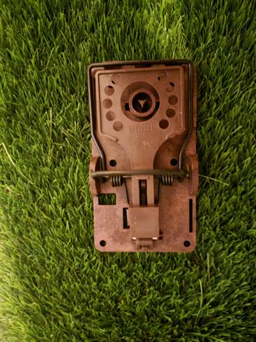 58344982-e660-41d5-b228-4c2a5931811d_500