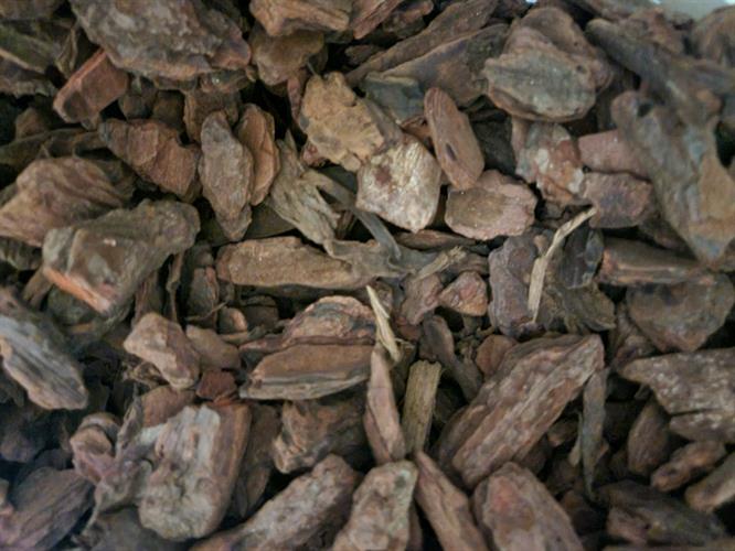 7fb2c484-8661-4822-808e-b95bd746f13c_500