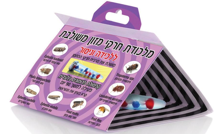 8d81d6ba-490f-44e0-a1e0-f304115eda9d_500