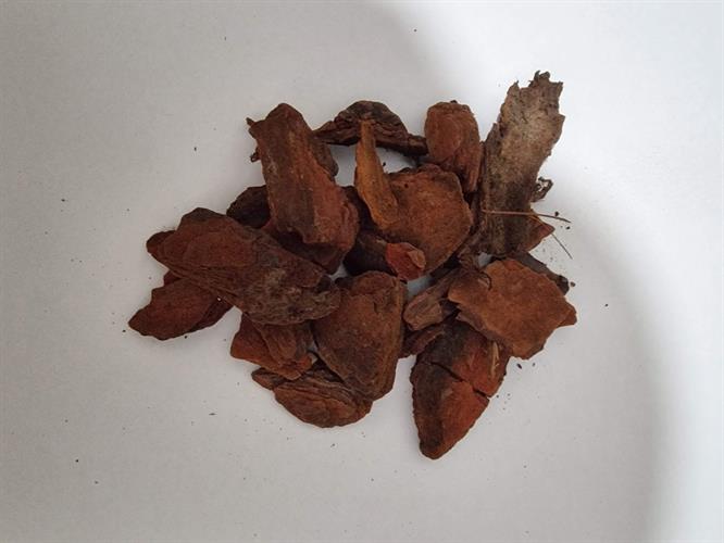 9ca19c03-3b46-4b3c-8948-ed1a7454c3c1_500