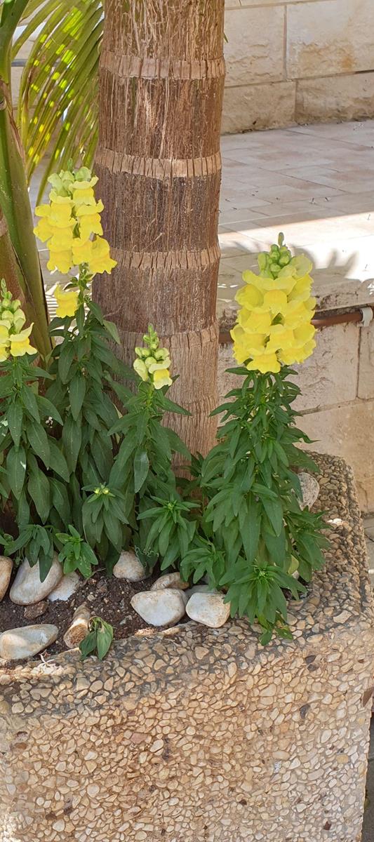 9d3529e9-74cf-4fba-9d50-242417f36f13_500