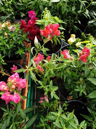 a6593024-13dc-490e-997c-1c4abc44bf33_500