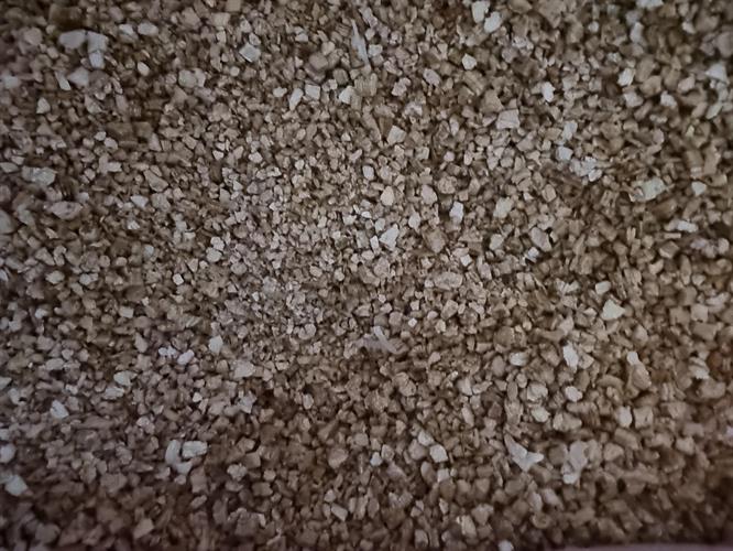 aa372100-0100-4d28-adc6-94b0cd3098b7_500