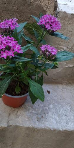 b4c57a80-bdd9-4a64-a603-60d82fa46338_500