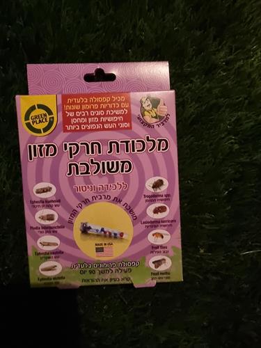 b5837a83-2b14-4d8d-ae93-5f254ebb0b26_500