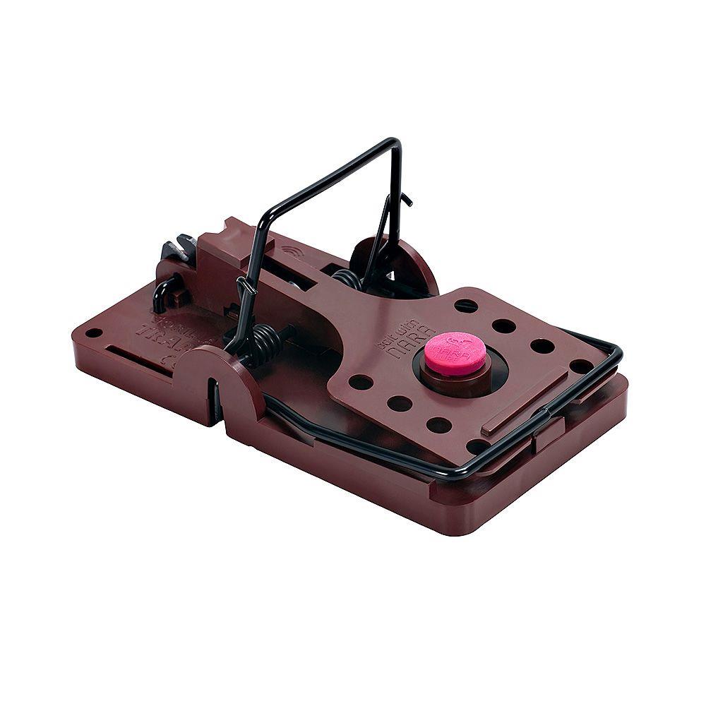 be9e6984-0125-44e6-8761-716800af36aa_500