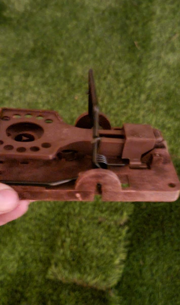 bf6b3df5-832b-4b98-b155-4ddf28873092_500