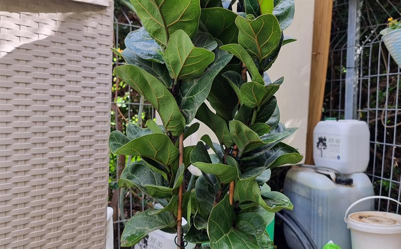 db8fc79a-ce3c-4692-9211-8f3b97cf87c5_500