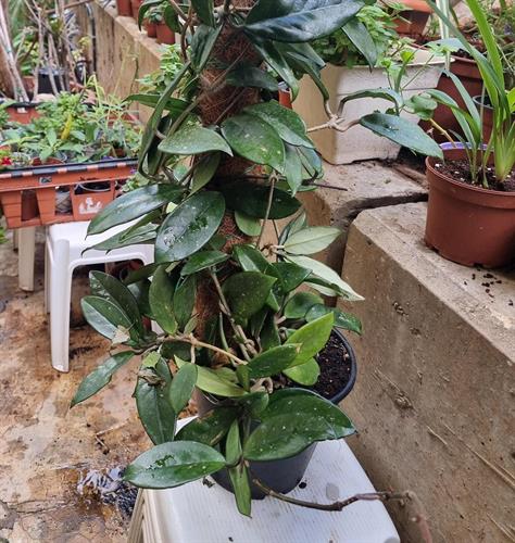 f01355b4-9acc-4f87-ad0d-7083c7ca0eeb_500