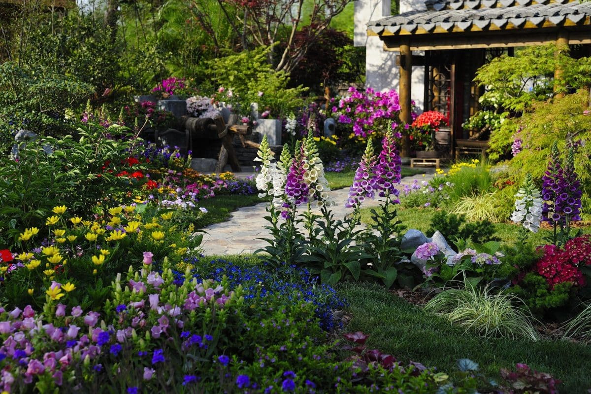 תכנון גינה ביתית